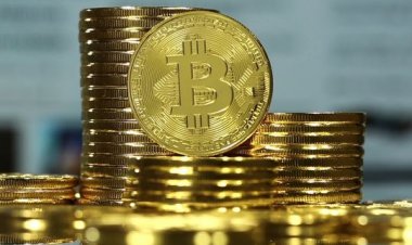 Who Does the Bitcoin and Crypto Community Trust amid Industry Probing