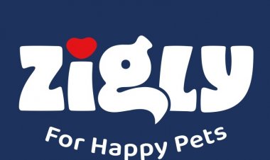 Brace yourselves! Zigly Experience Center is coming to Punjabi Bagh!