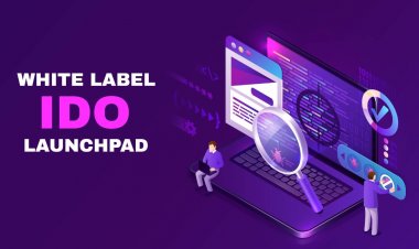 A Beginner's Guide to White Label IDO Launchpad Platform