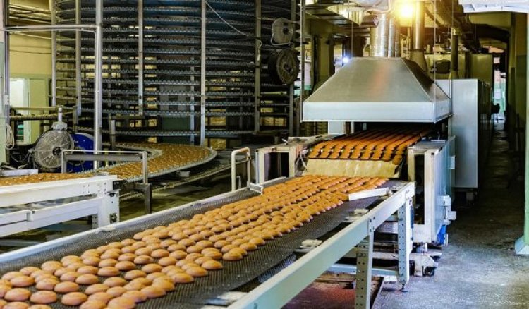 The Advantages of Customized Stainless Steel Conveyors in the Food Industry