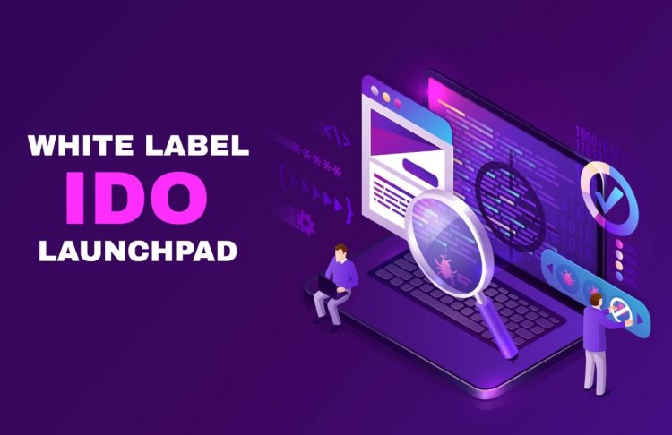 A Beginner's Guide to White Label IDO Launchpad Platform