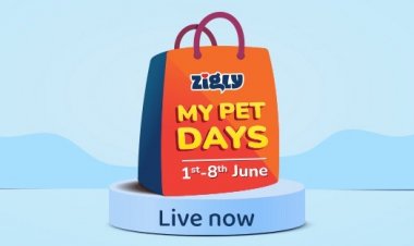 The Wait Is Over. Zigly My Pet Days Offers Are Here!