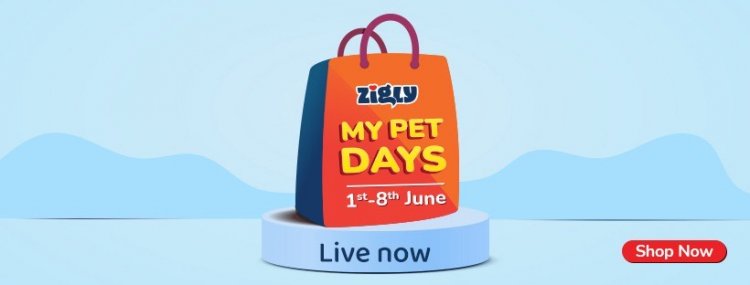 The Wait Is Over. Zigly My Pet Days Offers Are Here!