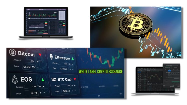 Readymade cryptocurrency exchange software
