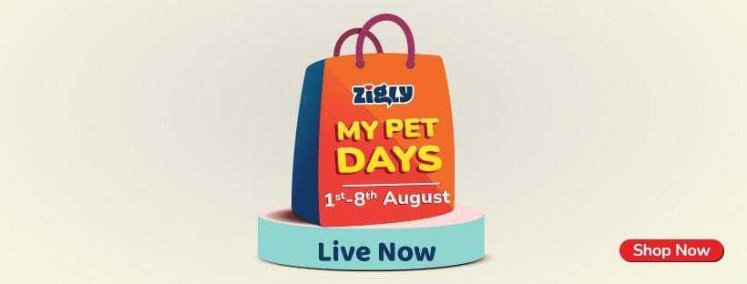 Cart All Wishlisted Pet Products! Zigly My Pet Days Offers Are Back!