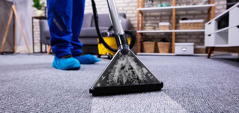 The Most In-Demand Cleaners Are Professional Carpet Cleaners