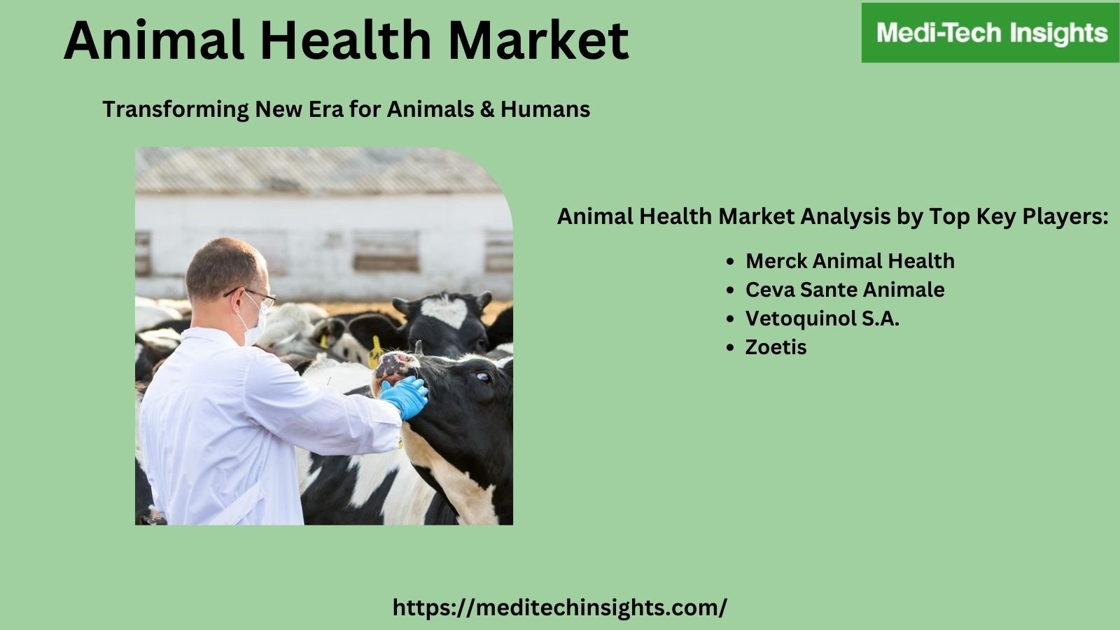 Animal Health Market is projected to increase at a 4% CAGR to reach $49.1 billion by 2026