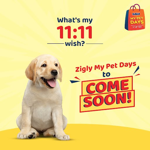 Get Ready To Give Your Four-Legged Companions The Best Of Everything! Zigly My Pet Days Are Back.