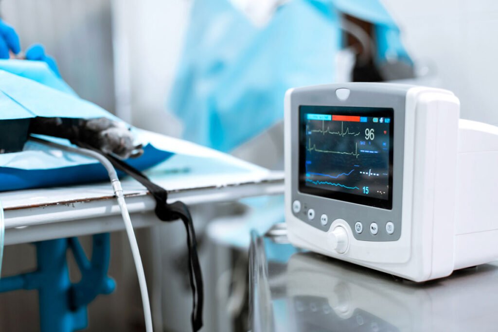 Global Veterinary Electrocardiographs Market is Expected to Gain Popularity Across the Globe by 2030