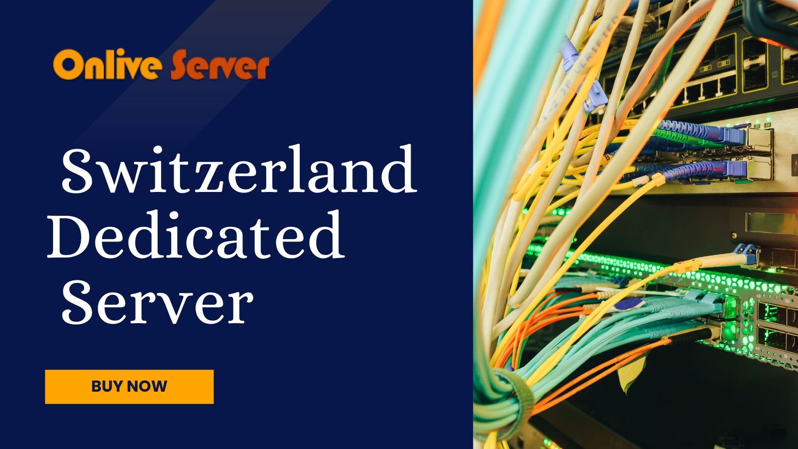 Guide to Switzerland Dedicated Server: Types and Use Cases for 2024