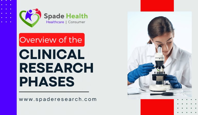 Overview of the Clinical Research Phases
