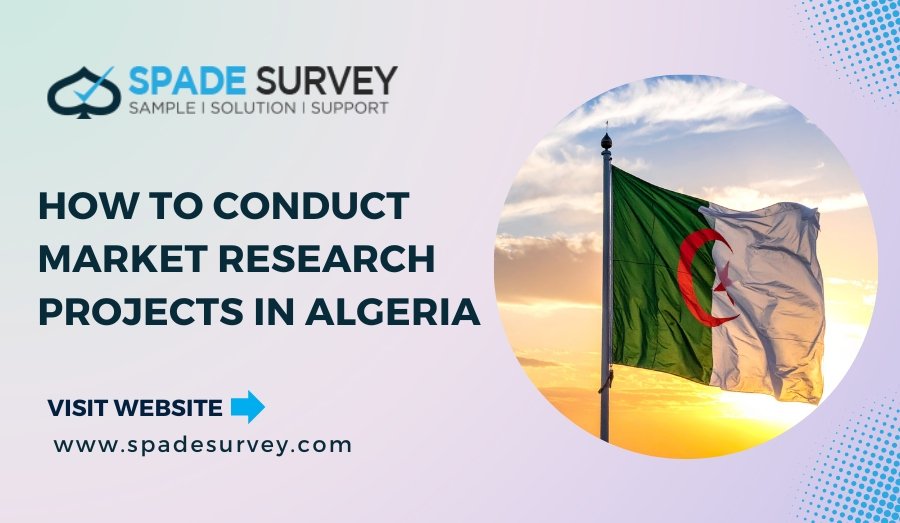 How to Conduct Market Research Projects in Algeria?