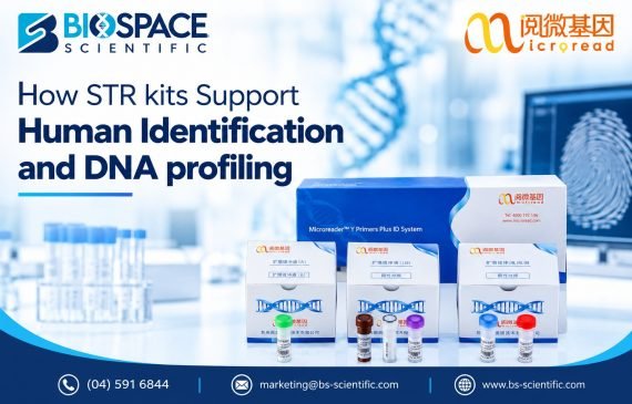 How STR Kits Support Human Identification and DNA Profiling