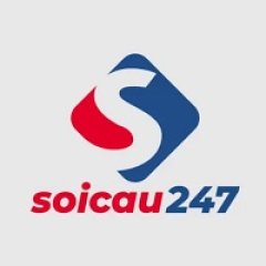 Dande36sonet