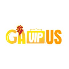 gavipus