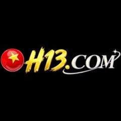 h13digital1